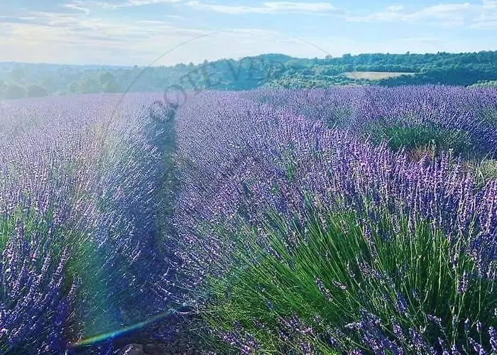 Cote Verdon Apartment Quinson