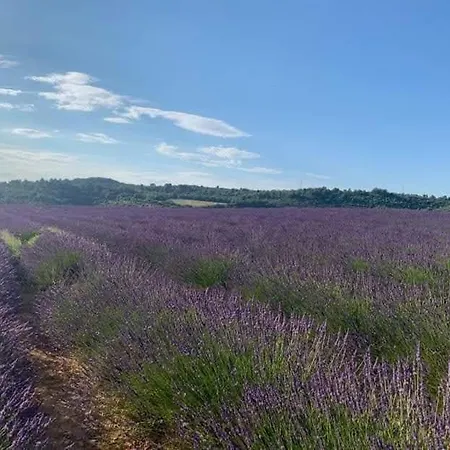 Côté Verdon * Quinson
